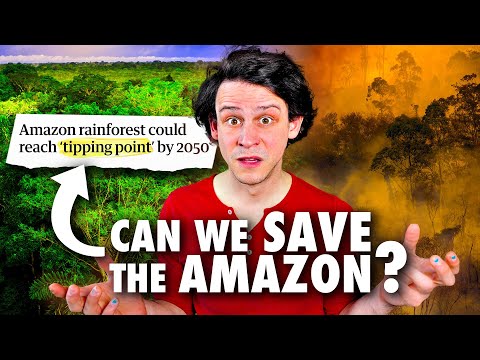 Climate Adam: Could the Amazon Rainforest Collapse?